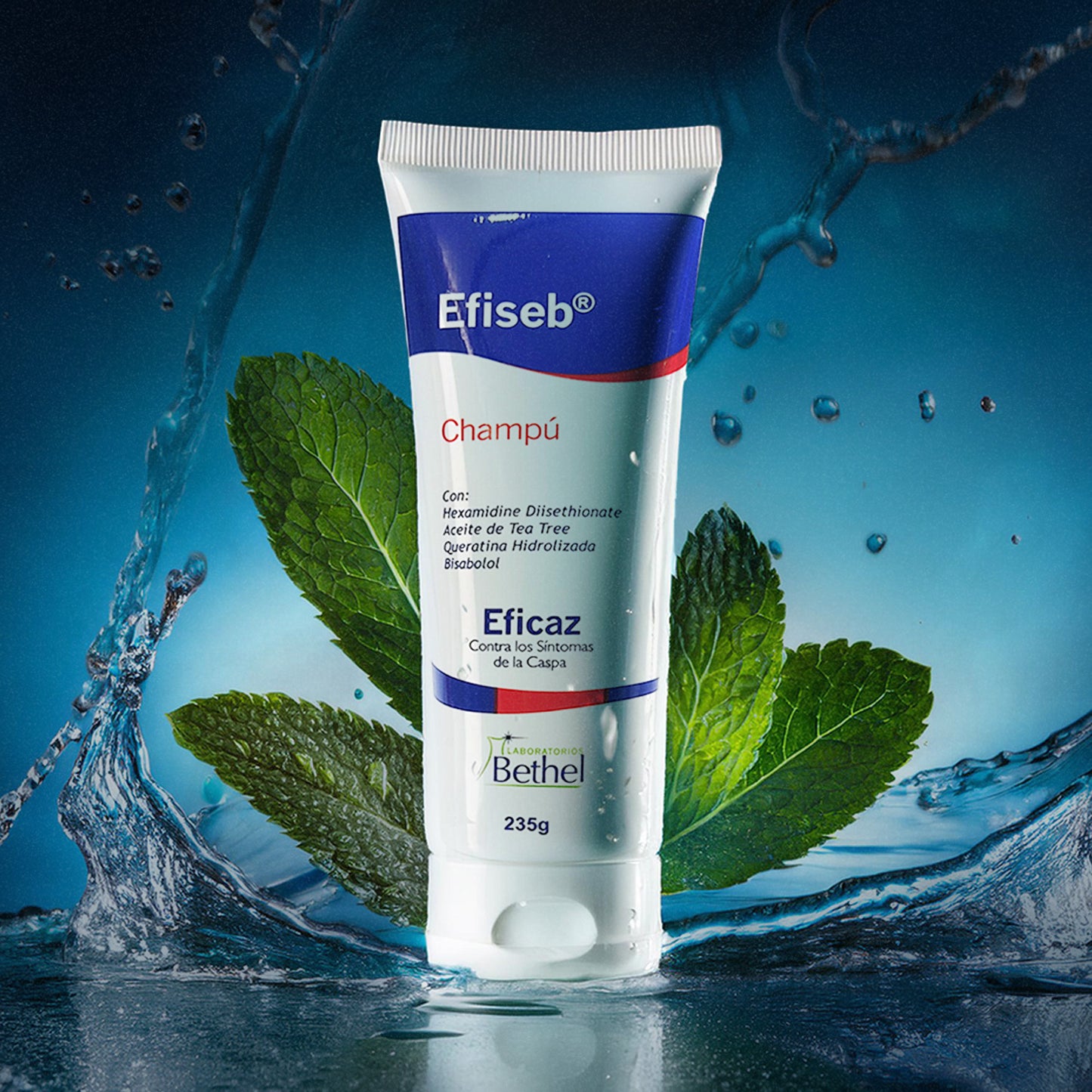 Efiseb Champú